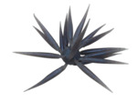 coike fish L elastomer hide up