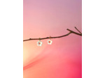Sakura - boucles d'oreilles