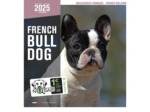 Calendrier chien 2025 - Bouledogue français - Martin