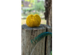 Pelote FLOCON (80% Kid mohair 20% soie) - Jaune soleil