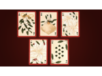 Cartes à jouer : Christmas Botanicals
