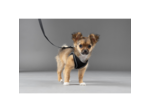 Harnais veste en mesh pour chien FLAMINGO