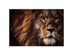 Tableau Mural en Verre Trempé Lion Finition Marron et Or 120x100cm