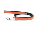 Laisse, CORAIL pour chiens - 1M x 18mm