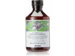 Shampoing Renewing Davines