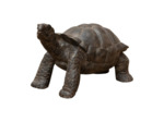 Statue tortue décorative bois massif teck marron 40cm