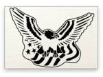 Aigle - Drapeau USA