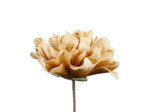 Fleur Hortensi Ocre Polyéthylène 35cm