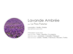 SAVON LIQUIDE - MOUSSE DE MAIN PARFUM LAVANDE AMBRÉE
