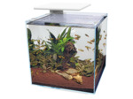 Aquarium SUPERFISH Qubiq 60 pro - 40 x 40 x 50,8cm