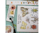 Affichette - Huit insectes du jardin à peindre