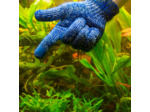 Gant de nettoyage pour aquarium