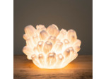 Lampe à poser corail Arbuscule résine 28x21x24cm