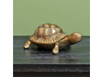Boîte tortue aluminium doré 12x16x21cm