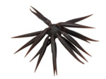 coike fish M elastomer hide up