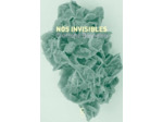 NOS INVISIBLES