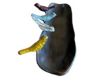 Mangeoire Arc en ciel gourmand 25x11x6cm