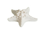 Lampe Etoile de mer blanche résine 16x7x16cm