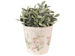 Pot de fleurs rond céramique beige rose 17x16cm