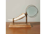 Ensemble 2 loupes cornes sur support 16x31x8cm
