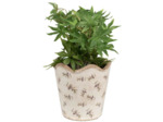 Pot céramique beige motif olive 19x19x18cm