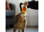 Jouet en résine organique naturelle pour chat Fish