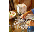 PUZZLE PLANTES AROMATIQUES 1000 PIECES