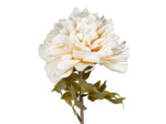 Fleur Proteace Blanc Polyester 84cm
