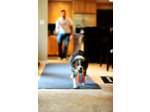 Chuckit Indoor Roller 12 cm Anneau d'intérieur pour chien