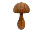 Champignon mignon décoratif 36x36x59cm