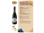 Lambrusco rouge sec DOC 75cl