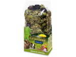 Jr Pissenlit & Cumin pour rongeurs - 100g