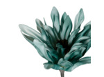 Fleur Artificielle Anémone Bleue en Polyéthylène Haute Tige 98cm