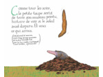 DE LA PETITE TAUPE QUI VOULAIT SAVOIR QUI LUI AVAIT FAIT SUR LA TETE