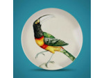 Dessous de plat Toucan Dolomite 20x20x2cm