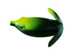 basiriski 6cm deps
