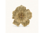Bouton de tiroir Fleur Hibiscus Doré Laiton Recyclé 8x8x9cm