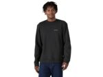 Sweat PATAGONIA Fitz Roy Icon Ink Black