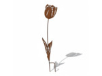 Tuteur fer décoratif tulipe à planter  24x1x90cm