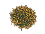 Genmaicha BIO