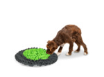 Tapis à renifler chien - Tapis de fouille vert