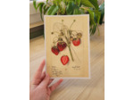 Affiche botanique - Fraises