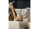 BOX de mastication "Dans les bois" pour chien