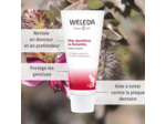 DENTIFRICE RATANHIA 75ML WELEDA