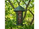 Nucéa – Distributeur de cacahuètes pour oiseaux
