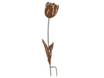 Tuteur fer décoratif tulipe à planter  24x1x90cm