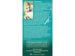 Tisane ayurveda grand calme 17x1,8g Yogi Tea