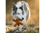Etoile en caoutchouc naturel - Jouet pour chiens et chiots