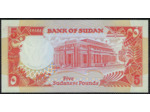 SOUDAN 5 POUNDS 1991 Série D238 NEUF (W45)
