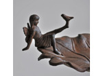 Mangeoire oiseaux Bain 30x110cm